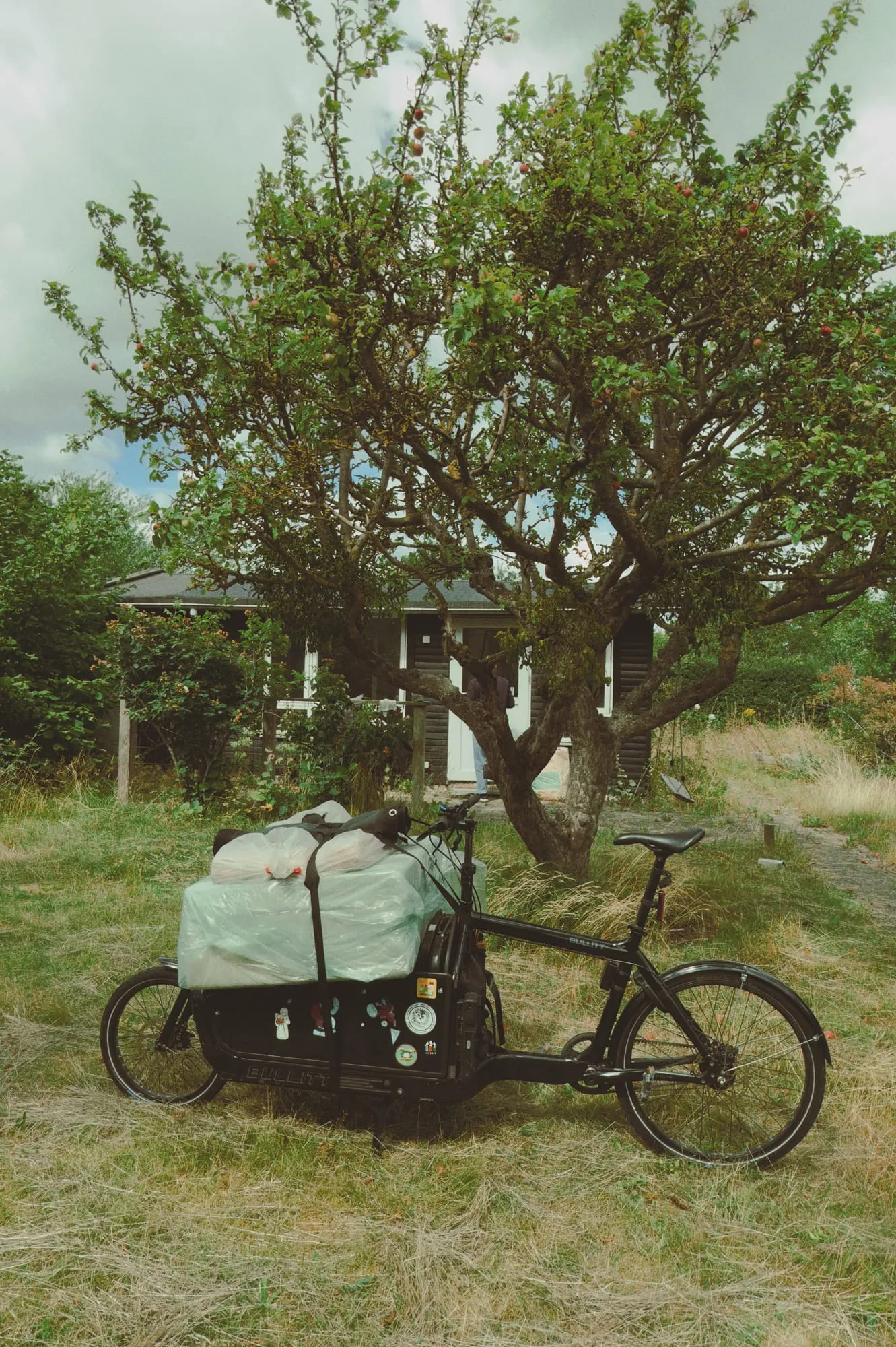 A black Bullitt cargo bike loaded with strapped-down bags in tall grass under an apple tree, a dark garden house behind.