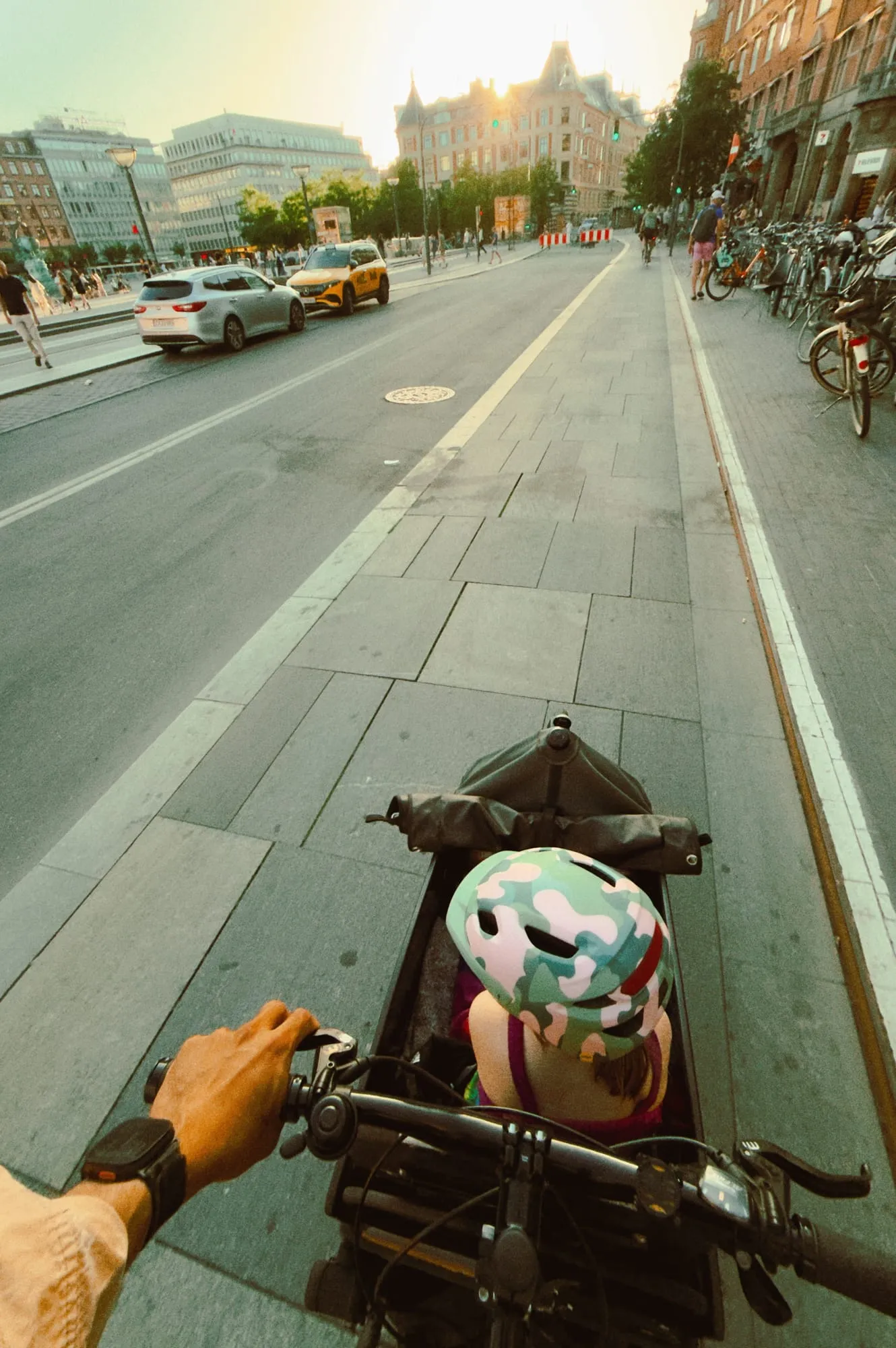 Rider's view over the handlebars on a Copenhagen bike lane at sunset, cars queuing alongside.