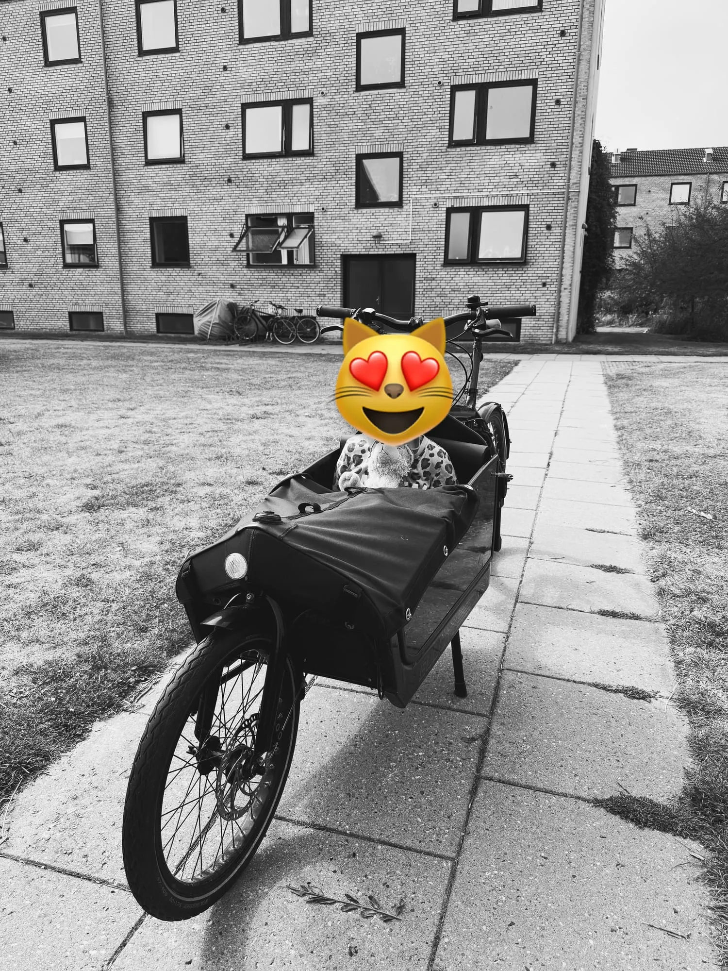 Black-and-white photo of the cargo bike on a paved path, the passenger hidden behind a cat emoji.
